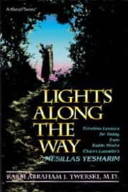 Cover of Lights Along The Way / Mesillas Yesharim