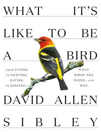 Cover of Inheritance
