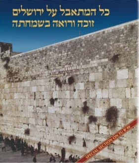 Cover of Tishah B'av: Texts, Readings, And Insights
