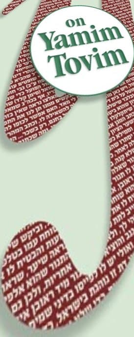 Cover of What If…on Yamim Tovim