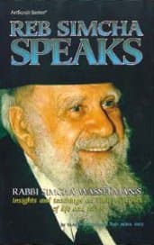 Cover of Reb Simcha Speaks