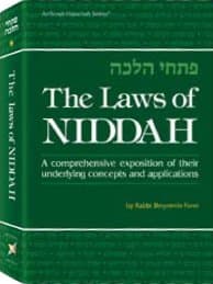 Cover of The Laws Of Niddah