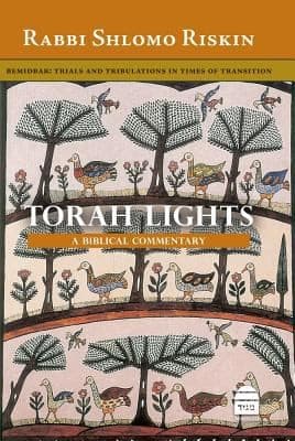 Cover of Torah Lights