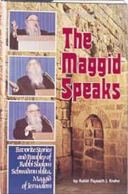 Cover of The Maggid Speaks