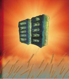 Cover of Shavuos: Its Observance, Laws, And Significance