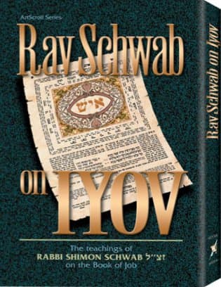 Cover of Rav Schwab on Iyov