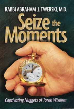 Cover of Seize the Moments