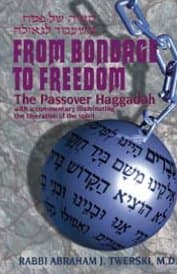 Cover of Haggadah From Bondage To Freedom