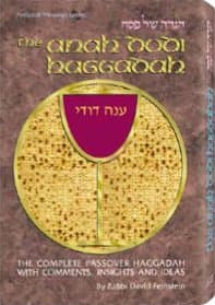 Cover of Haggadah Anah Dodi