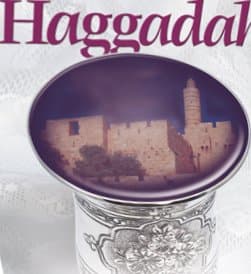 Cover of The Rav Nebenzahl Haggadah