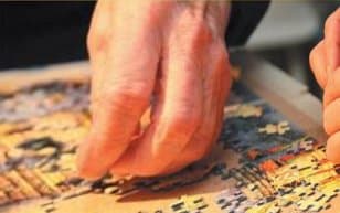 Cover of The Jigsaw Puzzle of Life