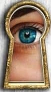 Cover of The Housemaid Is Watching