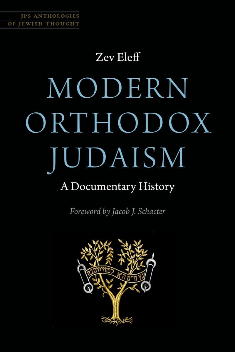 Cover of Modern Orthodox Judaism