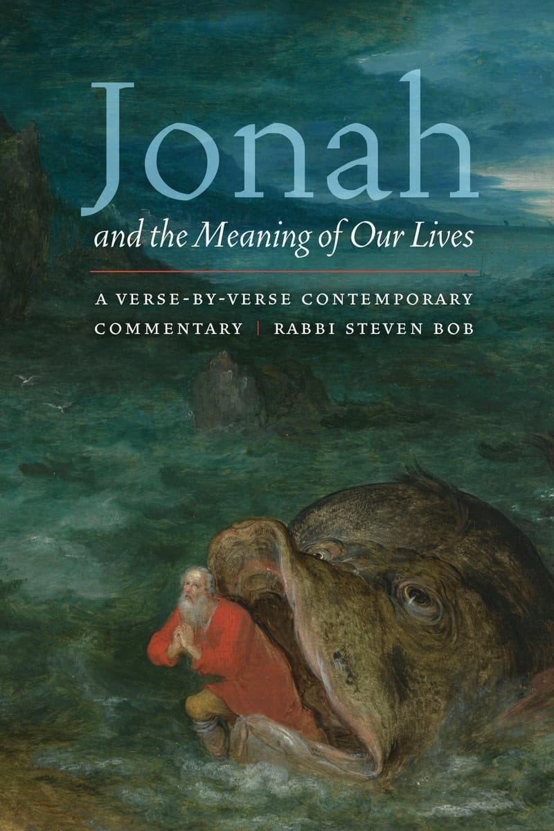 Cover of Jonah and the Meaning of Our Lives