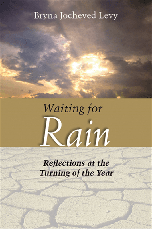 Cover of Waiting for Rain